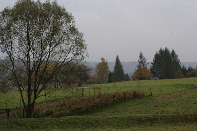 Agroturystyka U Maciejowej Villa Lanckorona Esterno foto