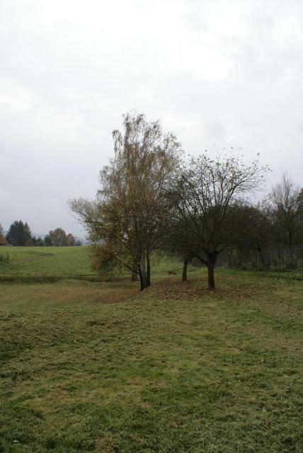 Agroturystyka U Maciejowej Villa Lanckorona Esterno foto